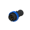 Socket and plugs