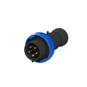 Socket and plugs